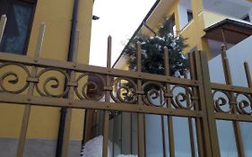 The Yellow House